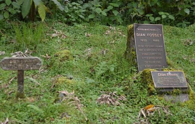 Dian Fossey Hike