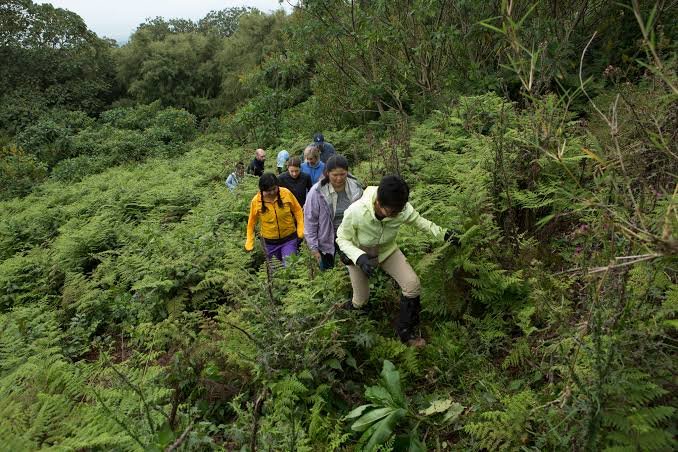 Hiking Trails